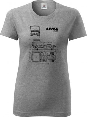 LIAZ 100.05, v13