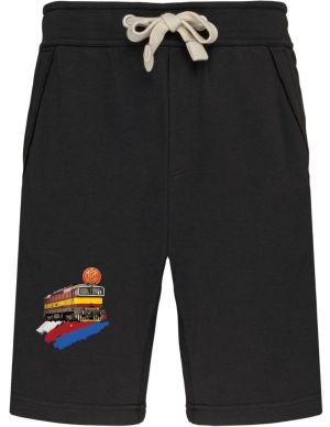 Lokomotiva řady 754 
