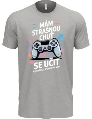 Mám strašnou chuť se učit