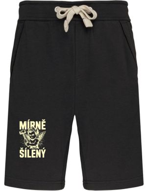 Mírně šílený