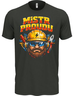 Mistr proudu