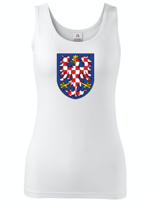 Moravská ORLICE