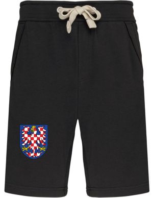 Moravská ORLICE