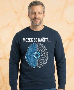 Mozek Se Načítá...