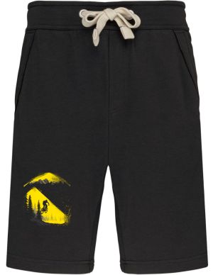 MTB - Mountain Bike, horské kolo, V4