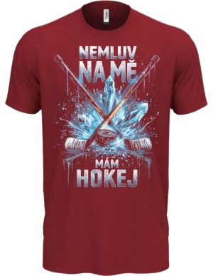 Nemluv na mě mám hokej