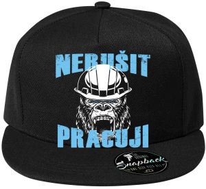 Nerušit, pracuji!