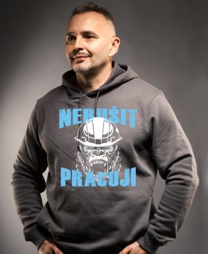 Nerušit, pracuji!