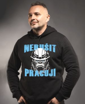 Nerušit, pracuji!