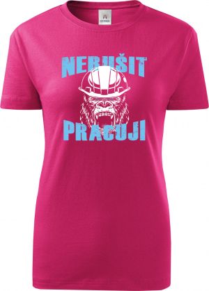 Nerušit, pracuji!