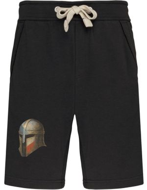 Ocelový bojovník