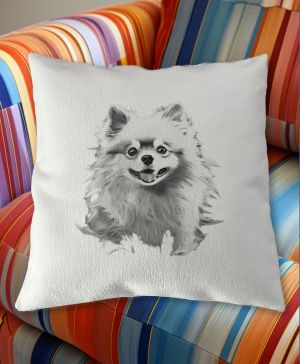 Pomeranian, černý tisk