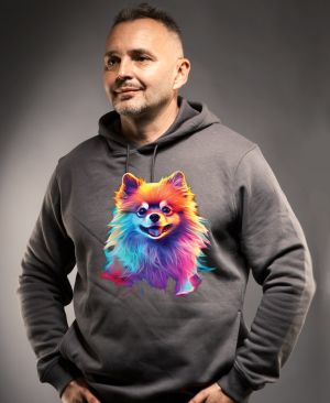 Pomeranian V1