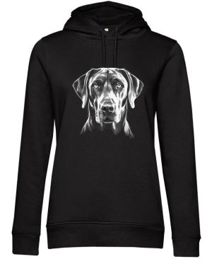 Rhodéský ridgeback, bílý tisk