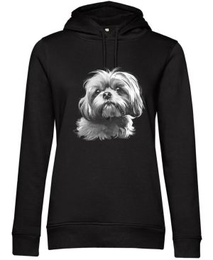 Shih-tzu, bílý tisk