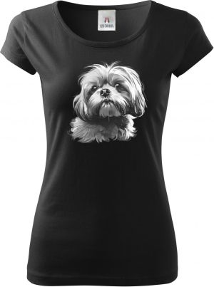 Shih-tzu, bílý tisk