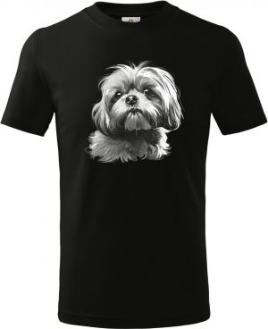 Shih-tzu, bílý tisk