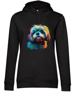 Shih-tzu, V1