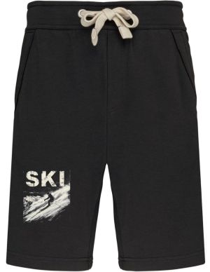 Ski, v2