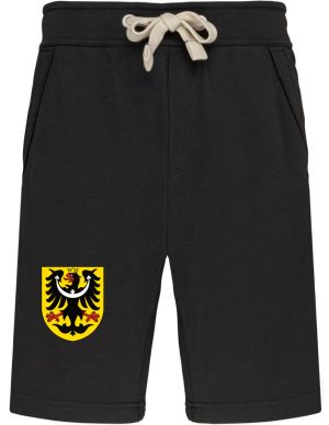 Slezská ORLICE