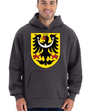 Slezská ORLICE