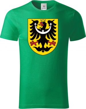 Slezská ORLICE