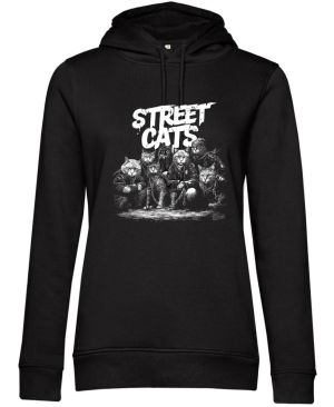Street cats