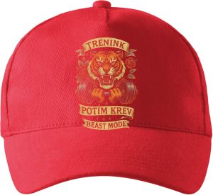 Trenink, potím krev, beast mode