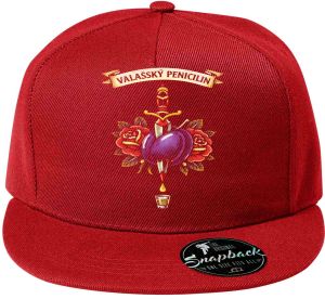 Valašský penicilin