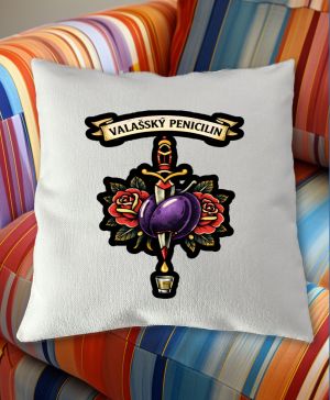 Valašský penicilin