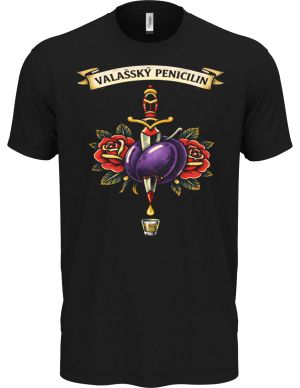 Valašský penicilin