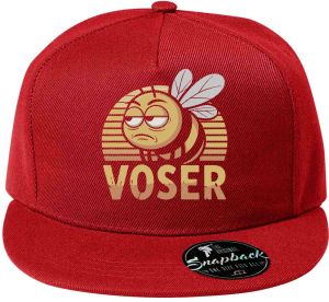 VOSER