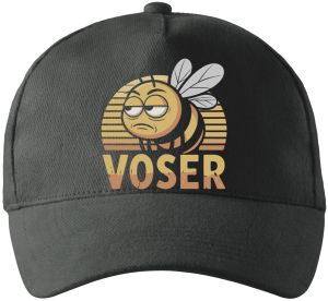 VOSER