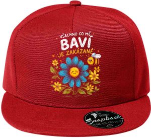 Všechno co mě baví je zakázané